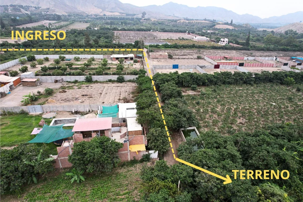 Terrenos