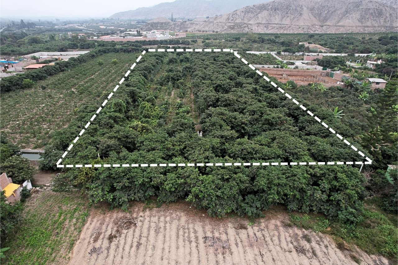 Terrenos para inversionistas